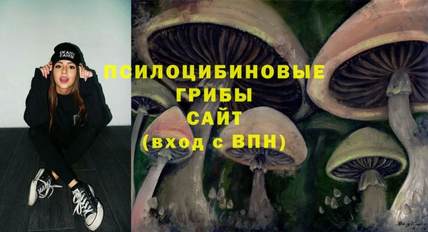 хмурый Михайловск