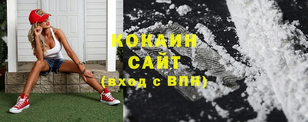 дживик Надым
