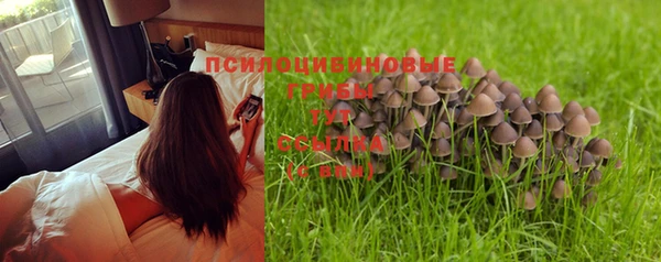 хмурый Михайловск