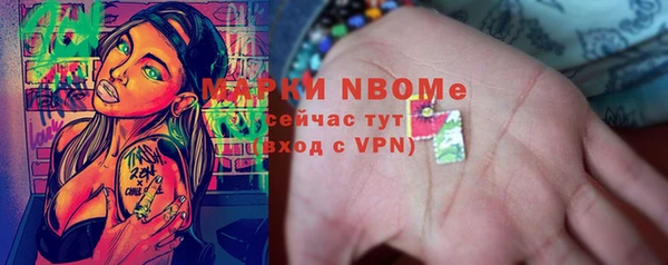 хмурый Михайловск