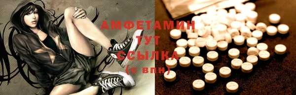 дживик Надым