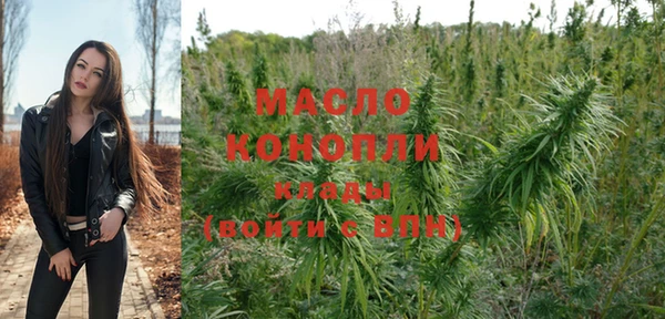 хмурый Михайловск