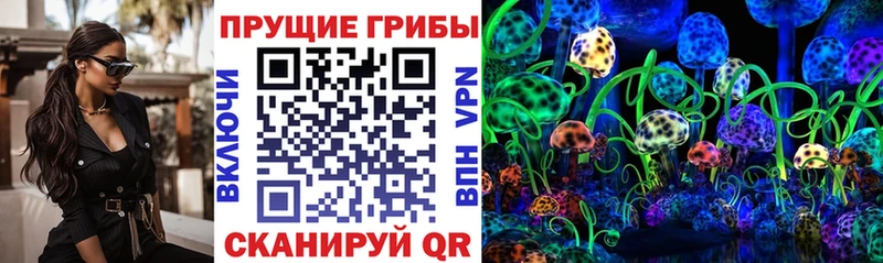 наркотики Осташков kraken как войти Псилоцибиновые грибы ЛСД